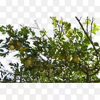 ����������-������-������