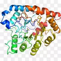 生物线动物剪贴画线-空若网 生物线动物剪贴画线-空若网
