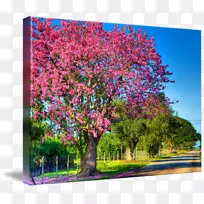 ��ľ��ͨ���㿪��ֲ��˿��������������-������