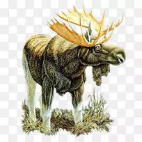 ��¹����-¹-������