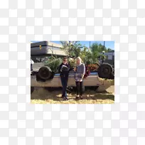 轮胎汽车,汽车车轮运输.汽车-空若网 轮胎汽车,汽车车轮运输.汽车-空若网