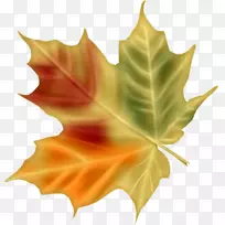 数码绘画-空若网 数码绘画-空若网