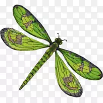 蜻蜓剪贴画-蜻蜓-空若网 蜻蜓剪贴画-蜻蜓-空若网