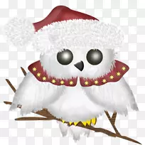 ʥ������ʥ��װ��Ʒ�����ʼ�-ʥ������-������