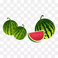 Adobe插图-西瓜-空若网 Adobe插图-西瓜-空若网