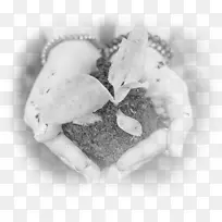 黑白摄影心脏摄影治疗基础理疗-空若网 黑白摄影心脏摄影治疗基础理疗-空若网