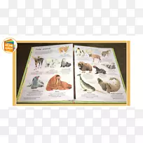 画框动物-杆-坎贝尔的澳洲动物-空若网 画框动物-杆-坎贝尔的澳洲动物-空若网