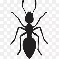 蚂蚁昆虫计算机图标昆虫-空若网 蚂蚁昆虫计算机图标昆虫-空若网