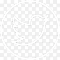 ��ɫ�������-������