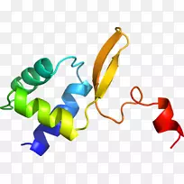 平面设计有机体剪贴画设计-空若网 平面设计有机体剪贴画设计-空若网
