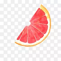 柚子血橙插图卡通柚子切块-空若网 柚子血橙插图卡通柚子切块-空若网