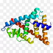 雌激素受体β雌激素受体α核受体异黄酮-空若网 雌激素受体β雌激素受体α核受体异黄酮-空若网