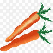 СºúÂܲ·Ê߲˿¨Í¨ºúÂܲ·-¿ÕÈôÍø СºúÂܲ·Ê߲˿¨Í¨ºúÂܲ·-¿ÕÈôÍø