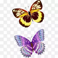 ��������-����-������