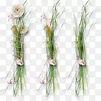 Ö²Îï¾¥¼ÐÒÕÊõ.ÐÂÏʲÝ-¿ÕÈôÍø Ö²Îï¾¥¼ÐÒÕÊõ.ÐÂÏʲÝ-¿ÕÈôÍø