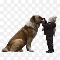 狗仔摄影-狗-空若网 狗仔摄影-狗-空若网