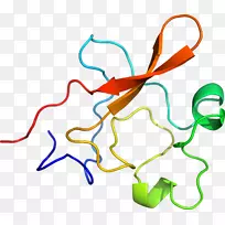 �ߵ������������-������