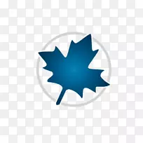 �����������ѧ-������