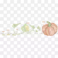 开花植物商品植物茎蔬菜叶-蔬菜-空若网 开花植物商品植物茎蔬菜叶-蔬菜-空若网