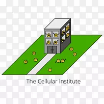 ���͵����ֻ�-��һ���������������-������