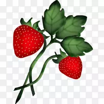 草莓辅料水果阿莫罗多食品-草莓-空若网 草莓辅料水果阿莫罗多食品-草莓-空若网