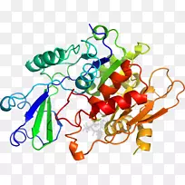 线点生物剪贴画线-空若网 线点生物剪贴画线-空若网
