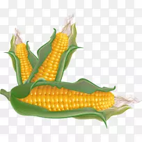 冬季蔬菜水果玉米剪贴画-蔬菜-空若网 冬季蔬菜水果玉米剪贴画-蔬菜-空若网