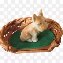 ������-����-������