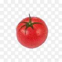 番茄蔬菜咽喉食品-凉快的夏季番茄-空若网 番茄蔬菜咽喉食品-凉快的夏季番茄-空若网