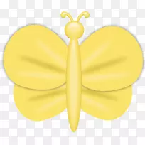 昆虫黄图.简单的黄蜻蜓-空若网 昆虫黄图.简单的黄蜻蜓-空若网