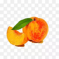 ˮ�ʻ�.����ˮ�ʻ�����ͼ-������