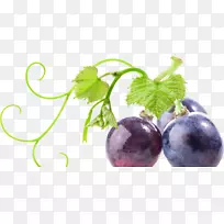 ��ͨ������ʳ����Ӱ.����-������