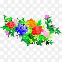 牡丹-牡丹-空若网 牡丹-牡丹-空若网