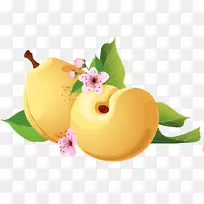 雪梨-两只黄色雪梨-空若网 雪梨-两只黄色雪梨-空若网