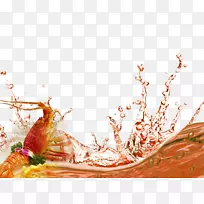 龙虾图解-龙虾-空若网 龙虾图解-龙虾-空若网