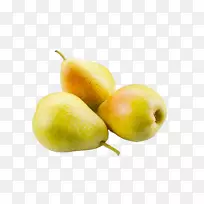 ŷ����-������