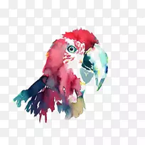 ðÐðÄÄñðÐðÄË®²Ê»ðÐðÄ-¿ÕÈôÍø ðÐðÄÄñðÐðÄË®²Ê»ðÐðÄ-¿ÕÈôÍø