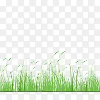 狗尾草绿草甸草,狗尾草,绿草,草甸-空若网 狗尾草绿草甸草,狗尾草,绿草,草甸-空若网