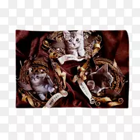 ��Ӱ-��������-������