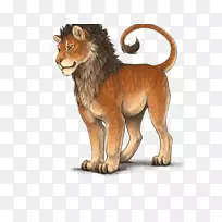 大猫陆生动物毛皮野生动物-猫-空若网 大猫陆生动物毛皮野生动物-猫-空若网