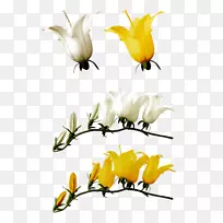 ˮ�ʻ�����ˮ�ʻ�-������