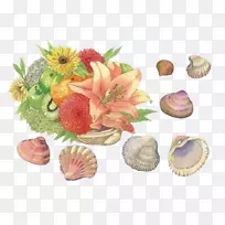 海螺--水果和海螺-空若网 海螺--水果和海螺-空若网
