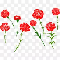 康乃馨-免费花卉剪贴画-花卉-空若网 康乃馨-免费花卉剪贴画-花卉-空若网