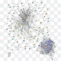 对称线型线-空若网 对称线型线-空若网