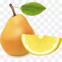 �����������������ϻ���-������