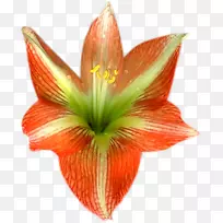 电子邮件花卉博客-电子邮件-空若网 电子邮件花卉博客-电子邮件-空若网