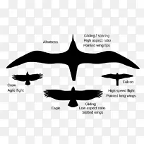 ������г�����˶�-��-������