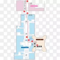 ֱ�ߵ����-������