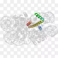 动物线剪贴画线-空若网 动物线剪贴画线-空若网