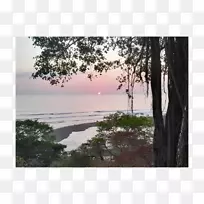 ���������plc-��-������